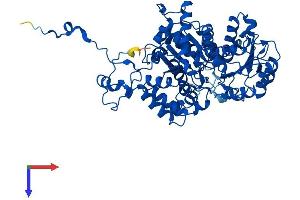 AlphaFold protein structure predicition of Mouse Recombinant Me1 Protein, UniprotID P06801