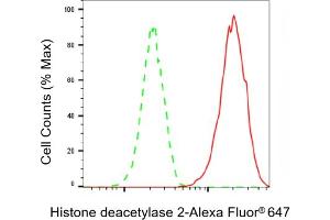 Flow cytometric analysis of Histone deacetylase 2 expression in HAP-1 cells using Histone deacetylase 2 antibody (ABIN7798931), 1:2,000). (Recombinant HDAC2 anticorps)