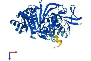 AlphaFold protein structure predicition of Mouse Recombinant Gdi2 Protein, UniprotID Q61598