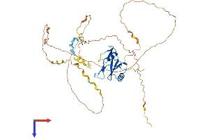 AlphaFold protein structure predicition of Human Recombinant CLNK Protein, UniprotID Q7Z7G1