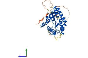 AlphaFold protein structure predicition of Human Recombinant BCCIP Protein, UniprotID Q9P287