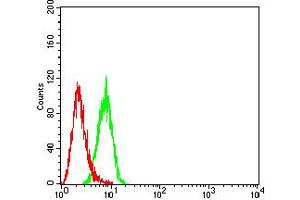 Flow cytometric analysis of Hela cells using PSMA mouse mAb (green) and negative control (red).