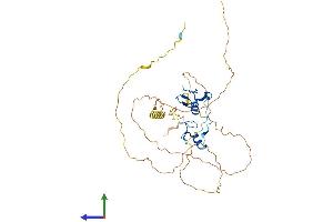 AlphaFold protein structure predicition of Mouse Recombinant Gata1 Protein, UniprotID P17679