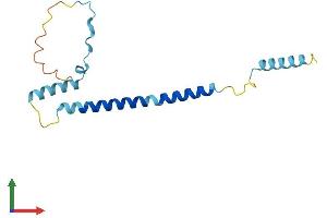 AlphaFold protein structure predicition of Human Recombinant FAM107A Protein, UniprotID O95990