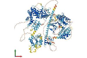 AlphaFold protein structure predicition of Mouse Recombinant Map3k5 Protein, UniprotID O35099