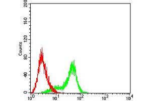 Flow cytometric analysis of HL-60 cells using TIM3 mouse mAb (green) and negative control (red).