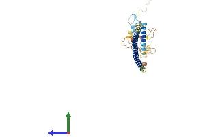 AlphaFold protein structure predicition of Mouse Recombinant Rnf187 Protein, UniprotID Q8BFX1