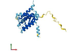 AlphaFold protein structure predicition of Human Recombinant DERL3 Protein, UniprotID Q96Q80