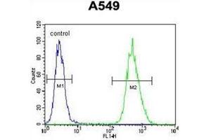 Flow cytometric analysis of A549 cells using BNIP3L / BNIP3A Antibody (Center) Cat. (BNIP3L/NIX anticorps  (Middle Region))