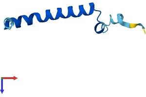 AlphaFold protein structure predicition of Mouse Recombinant Uqcr11 Protein, UniprotID Q9CPX8