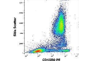 Flow cytometry surface staining pattern of human peripheral whole blood stained using anti-human CD45R0 (UCHL1) PE antibody (20 μL reagent / 100 μL of peripheral whole blood). (CCL20 anticorps  (PE))