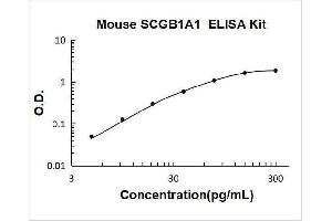Typical Standard Curve
