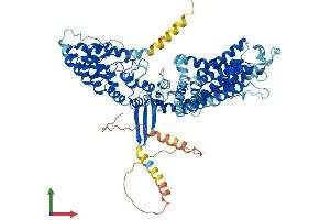 AlphaFold protein structure predicition of Mouse Recombinant Trpv5 Protein, UniprotID P69744