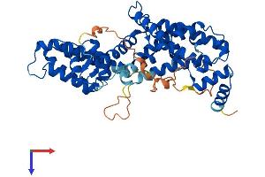 AlphaFold protein structure predicition of Human Recombinant RASGEF1C Protein, UniprotID Q8N431