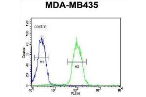 Flow Cytometry (FACS) image for anti-Dehydrogenase/reductase (SDR Family) Member 7 (DHRS7) antibody (ABIN3002129) (DHRS7 anticorps)
