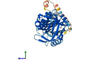AlphaFold protein structure predicition of Human Recombinant SERPINB13 Protein, UniprotID Q9UIV8