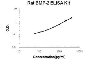 Rat BMP-2 PicoKine ELISA Kit standard curve (BMP2 Kit ELISA)