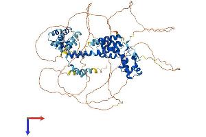 AlphaFold protein structure predicition of Mouse Recombinant Samd4a Protein, UniprotID Q8CBY1