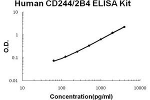 Human CD244/2B4 PicoKine ELISA Kit standard curve (2B4 Kit ELISA)