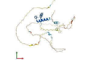 AlphaFold protein structure predicition of Human Recombinant EN2 Protein, UniprotID P19622