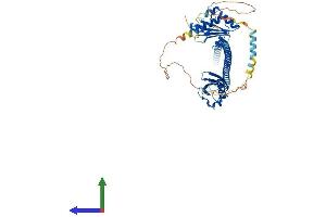 AlphaFold protein structure predicition of Human Recombinant UBXN4 Protein, UniprotID Q92575