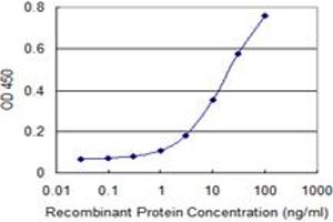 Detection limit for recombinant GST tagged RXRB is 0. (Retinoid X Receptor beta anticorps  (AA 161-260))
