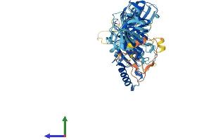 AlphaFold protein structure predicition of Mouse Recombinant Eefsec Protein, UniprotID Q9JHW4