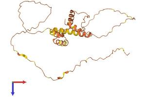 AlphaFold protein structure predicition of Human Recombinant FAM220BP Protein, UniprotID B1ANY3