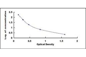 Follicle-Stimulating Hormone (FSH) ELISA Kit
