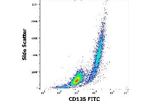 Flow cytometry surface staining pattern of REH cellular suspension stained using anti-human CD135 (BV10A4) FITC antibody (4 μL reagent per million cells in 100 μL of cell suspension). (FLT3 anticorps  (FITC))