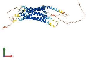 AlphaFold protein structure predicition of Human Recombinant GPR39 Protein, UniprotID O43194