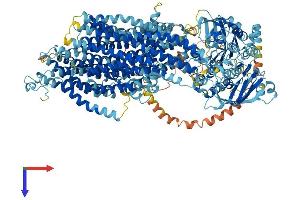 AlphaFold protein structure predicition of Mouse Recombinant Abcc9 Protein, UniprotID P70170