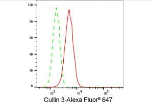 Flow cytometric analysis of Cullin 3 expression in HT- cells using Cullin 3 antibody (ABIN7798178), 1:2,000). (Recombinant Cullin 3 anticorps)