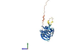 AlphaFold protein structure predicition of Human Recombinant KCNRG Protein, UniprotID Q8N5I3