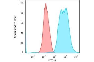 Flow Cytometric Analysis of trypsinized methanol-fixed HeLa cells using Cytokeratin 8 Mouse Monoclonal Antibody (SPM538) followed by goat anti-Mouse IgG-CF488 (Blue); Isotype Control (Red). (KRT8 anticorps)