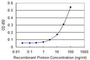 Detection limit for recombinant GST tagged TNIK is 1 ng/ml as a capture antibody. (TNIK anticorps  (AA 1-110))