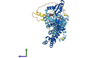 AlphaFold protein structure predicition of Mouse Recombinant Nub1 Protein, UniprotID P54729