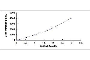 Typical standard curve (CSTA Kit ELISA)