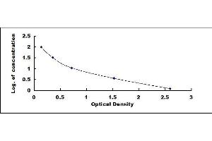 Typical standard curve