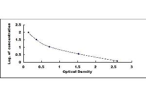 Typical standard curve (IgG Kit ELISA)