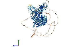 AlphaFold protein structure predicition of Mouse Recombinant Ap3b1 Protein, UniprotID Q9Z1T1