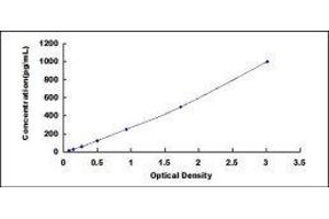 ELISA image for Interferon gamma (IFNG) ELISA Kit (ABIN414084)