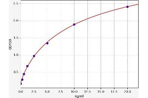 Typical standard curve (LPAR4 Kit ELISA)