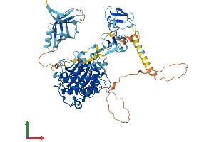 AlphaFold protein structure predicition of Human Recombinant PRKCQ Protein, UniprotID Q04759