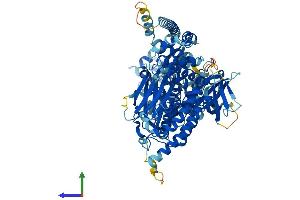 AlphaFold protein structure predicition of Human Recombinant RASAL1 Protein, UniprotID O95294