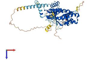 AlphaFold protein structure predicition of Mouse Recombinant Pi4k2a Protein, UniprotID Q2TBE6