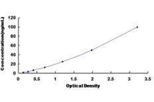 Typical standard curve (Fibrinogen beta Chain Kit ELISA)