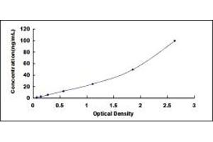 Typical standard curve (DLAT Kit ELISA)