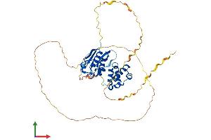 AlphaFold protein structure predicition of Human Recombinant SCML4 Protein, UniprotID Q8N228