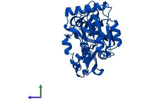 AlphaFold protein structure predicition of Human Recombinant PTGR1 Protein, UniprotID Q14914